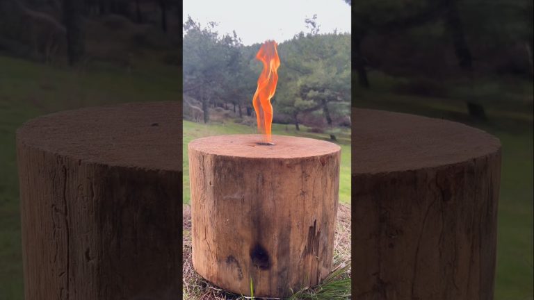 Steak on Portable Swedish Log Torch🥩 #food #cooking #recipe #asmr #4k #hd #outdoorcooking #steak #yt