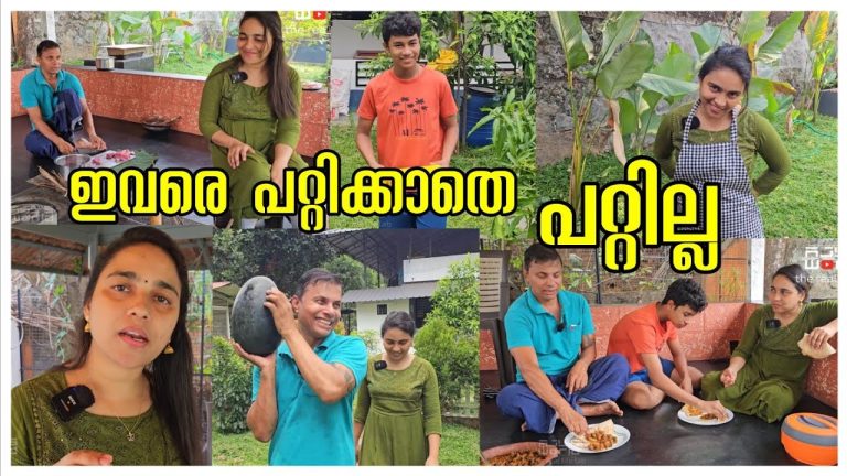 ഇവരെ പറ്റിക്കാതെ പറ്റില്ല /Beef roast /Village cooking /Beef recipe /Kerala Traditional life