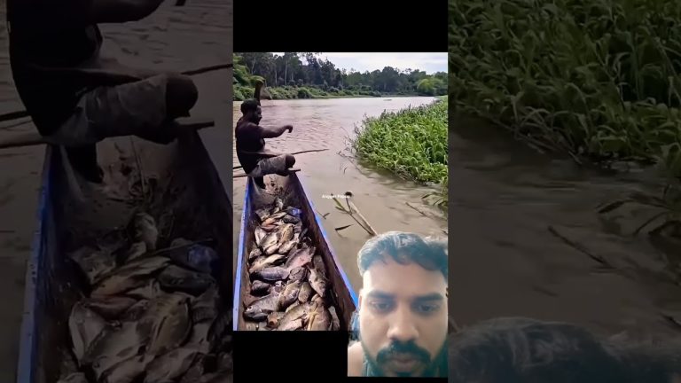 #fishing #fish #food #automobile #bigfish #seafood #fillet #sushilife #funny #seafoodrecipes