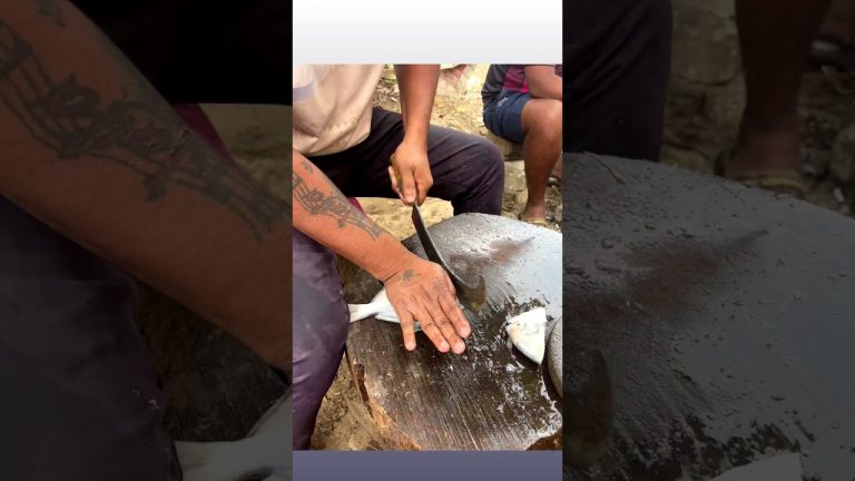 #streetfood #foodlifemarathi#seafood #fish #seafoodrecipes #fishcutting.. 🦐🐠🐟🙏