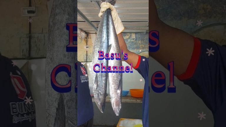 ഇന്നത്തെ ഈമത്സ്യങ്ങളുടെ വിലകേട്ടു നോക്കൂ.TFCപത്തംപാട് #fishing #seafood #fish #food #seafoodrecipes