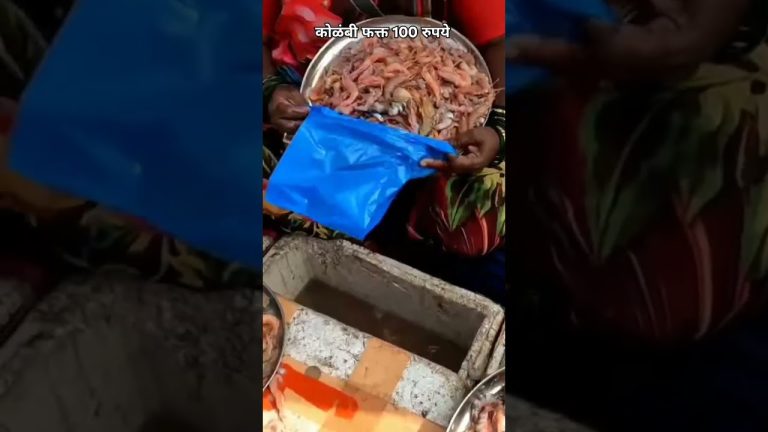 फक्त 100 रुपये वाटा #मासेमारी #fishing #fishboat #seafood #fish #seafoodrecipes