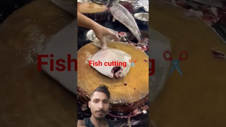 #fishcutting #fish #food #seafood #streetfood #viralvideo #しまさかな #fishing #シギ #seafoodrecipes
