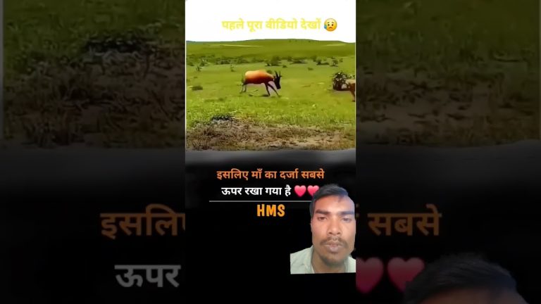 maa #motivation #farming #facts #food #bestdragonfruit #seafood #plantsofindia #seafoodrecipes