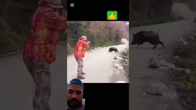 #sushilife #seafood #fillet #fish #funny #handmadelure #seafoodrecipes #vlog #fishfillet