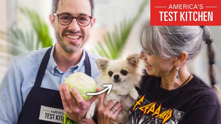 The Science of Cabbages (Brassicas), Explained With Dogs | America’s Test Kitchen