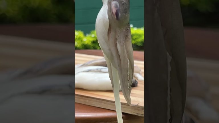 Seafood Chopsuey Rice 😋#seafood #seafoodlovers #chopsuey #chopsueyrecipe #recipe