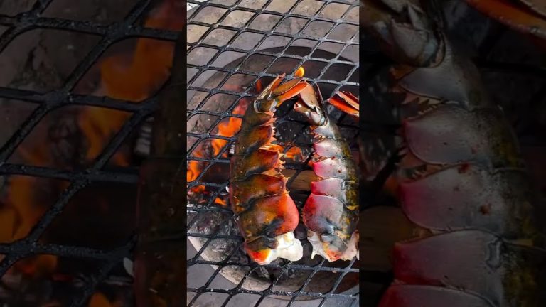 #yammey#outdoorcooking #bbq #superhit#campingcooking #forestcooking#foodie#recipe #reels #shorts