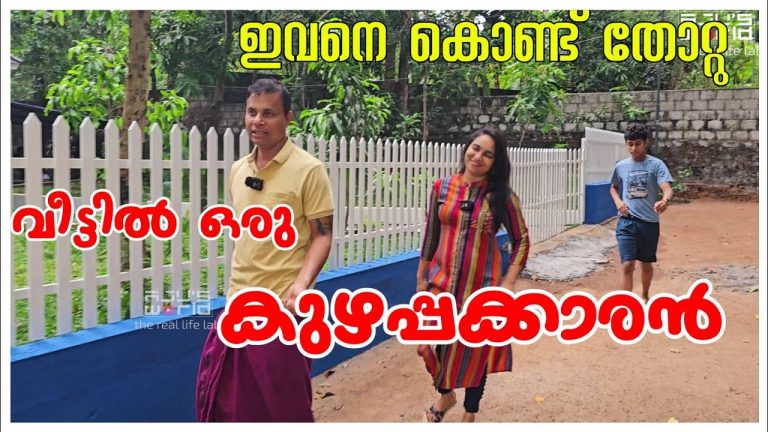 വീട്ടിലൊരു കുഴപ്പക്കാരൻ…/Snacks /Chicken sandwich  recipe /Agriculture tips /Family Vlog