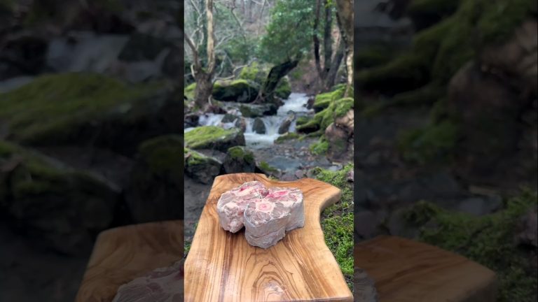 Beef Oxtail Recipe in Nature🔥 #food #recipe #cooking #asmr #4k #hd #outdoorcooking #survival #like