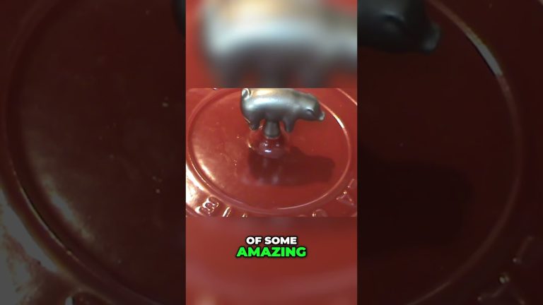 Amazing Pulled Pork Recipe  Discover Dutch Oven Secrets  #shorts #clips #fyp #fy #reels #masterchef