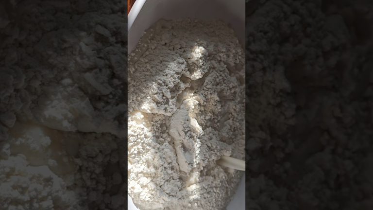 the perfect bread recipe #breadlover #breadrecipe #bread #breadrolls #shorts #short