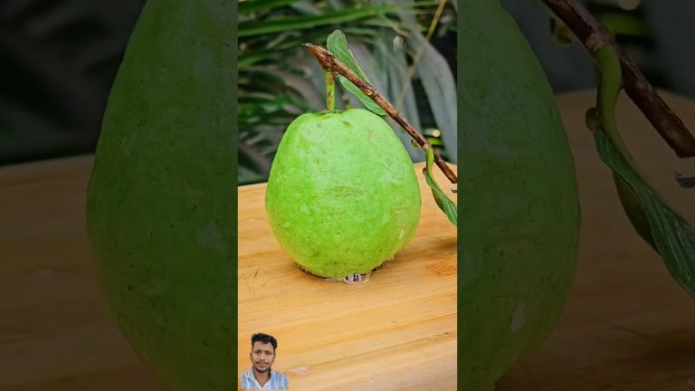 Quick & Easy Guava Smoothie Recipe.. #shorts #recipe #food #trending