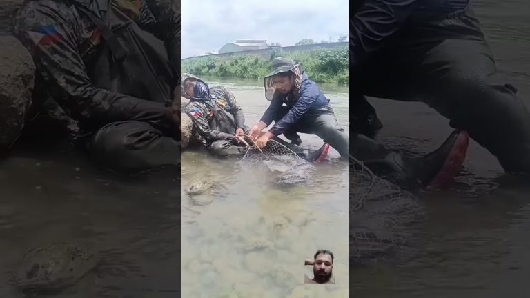 #aquaticpets #seafood #exoticaquariumfish #fish #funny #venomouscreatures #seafoodrecipes #animals