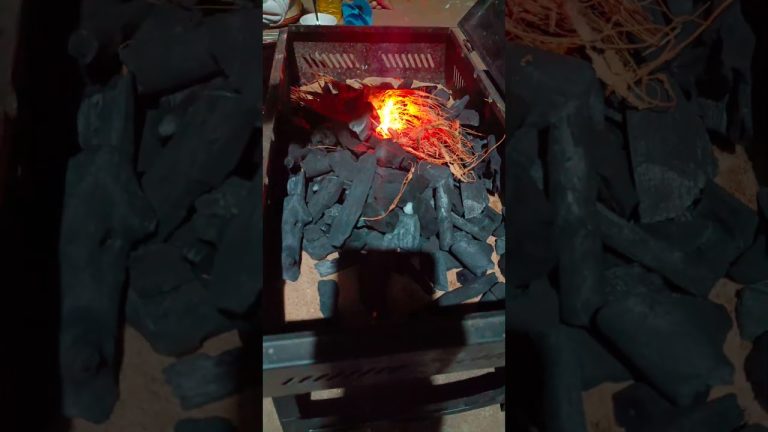 Barbeque Fire Setup | Home BBQ / part 1