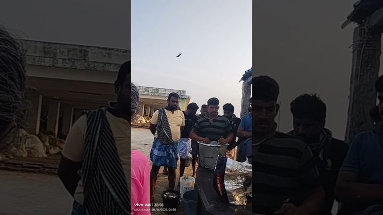 கனவாய் நண்டு ஏலம் 🦀🦀🦀🦀🦑🦑🦑🦑 #seafood #fishing #seafoodprep #fish #food #rivercrab #seafoodrecipes