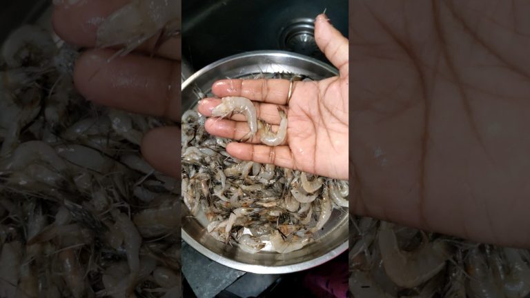 आसान झींगा मसाला की रेसिपी| Dry Prawn Fry Recipe #shortsfeed #shorts #prawns #seafood