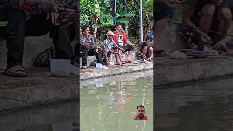 #fishing #aquaticpets #seafood #exoticaquariumfish #fish #snake #venomouscreatures #seafoodrecipes