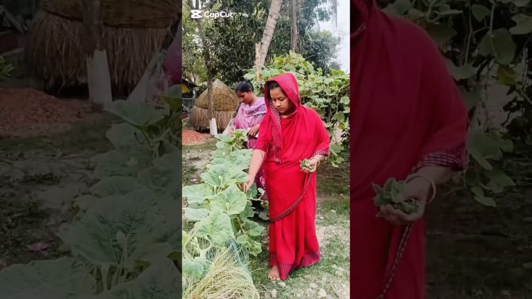 এমন ভাবে কে কে ভর্তা তৈরি করে খেয়েছো।#cooking #food #recipe #shorts