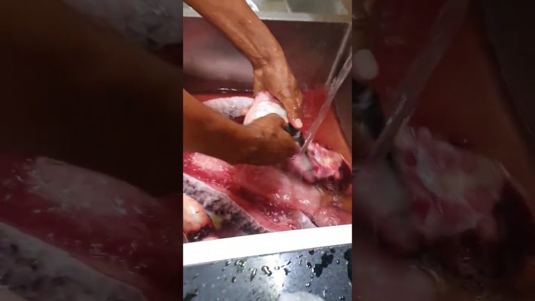 দেখতে একই রকম #minivlog #food #cooking #funny #fish #unfrezzmyaccount #duet #recipe #myhappyvillage