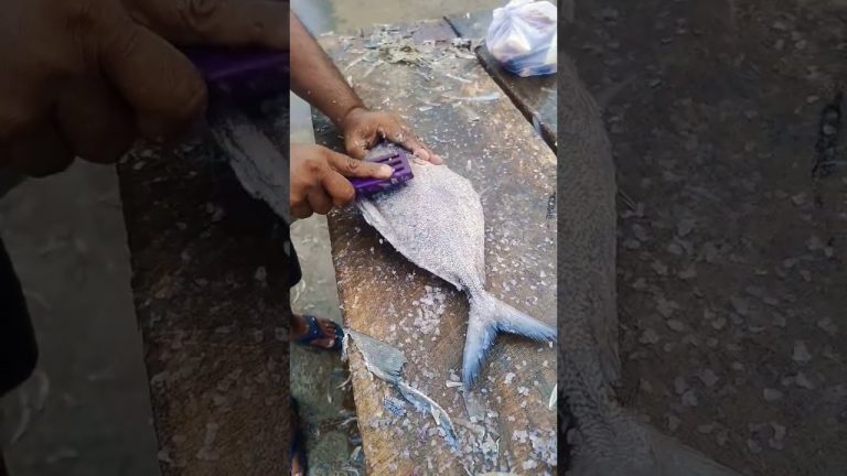 pomfret Fish #seafood #seafood #fish #seafoodrecipes