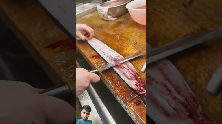 #fishing #fish #seafood #food #cooking #sushilife #divng #seafoodrecipes #dance #seafoods