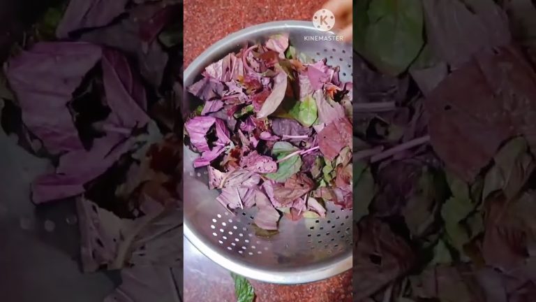 स्वादिष्ट लाल बाजी की रेसिपी 😋❤️#cooking #recipe #indianfood #saag #nitukilazizrecipe