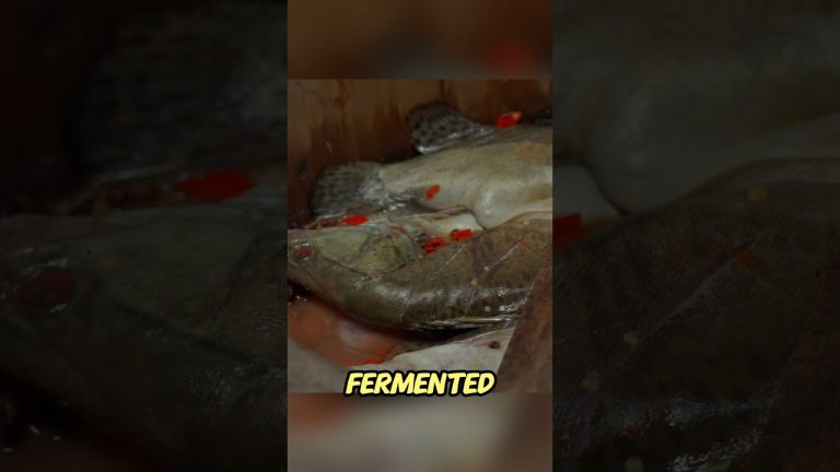 Strange way of cooking fish