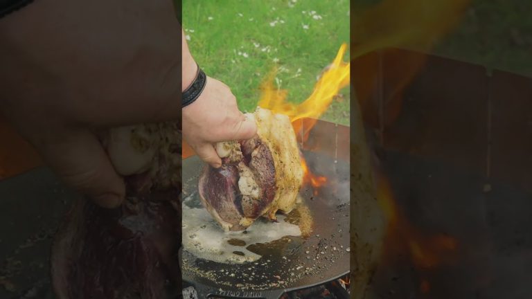 Pulpa la Disc 🔥 #outdoorcooking