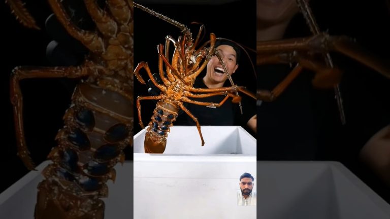 #cooking #food #seafood #recipe #yt #trending