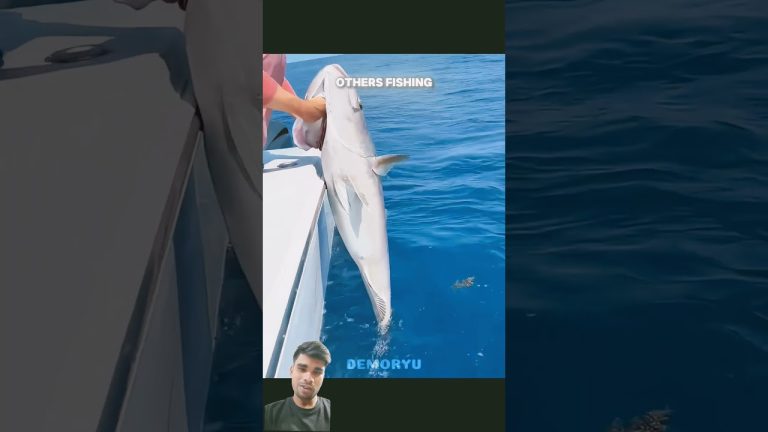 #fishing #funny #memes #fish #animals #edit #divng #seafood #sushilife #seafoodrecipes