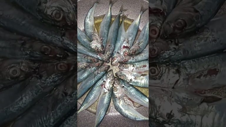 Fried to Perfection: Today's Fresh Mackerel Scad Fish #seafood #fish #mackerel #seafoodrecipes #food