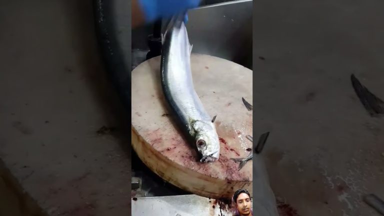 #fish #fishcutting #fishing #seafood #finwhale #seafoodrecipes #cat #fillet #funny #fishcooking