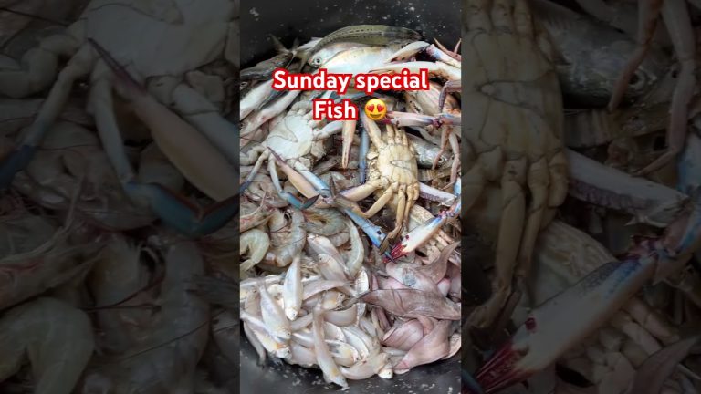 Sunday special fish | special fish recipe | Goan fish recipe | seafood recipes | big crabs #shorts