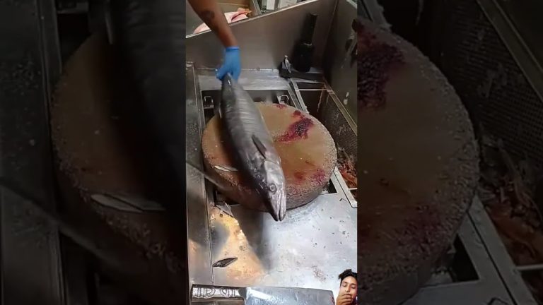 #fish #fishcutting #seafood #fishing #cooking #finwhale #seafoodrecipes #cat #fillet #funny