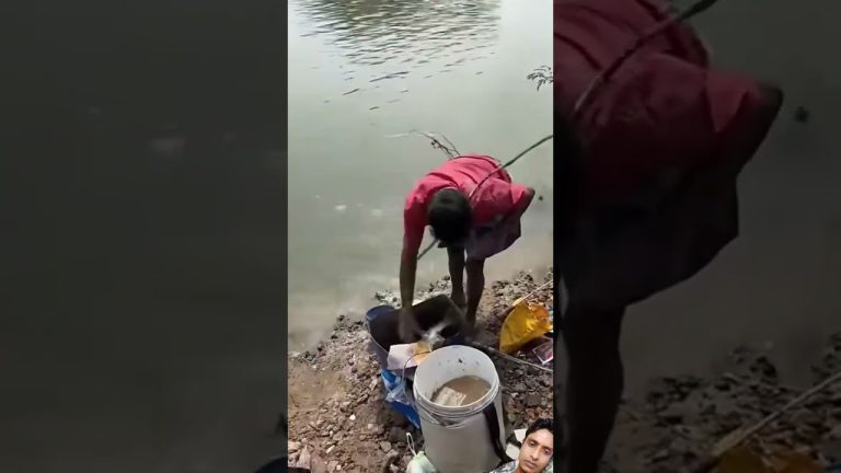 #fishing #fish #carpfishing #food #bigfish #cat #finwhale #seafoodrecipes #fillet #fishrecipes