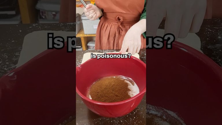 Death by cinnamon rolls 💀