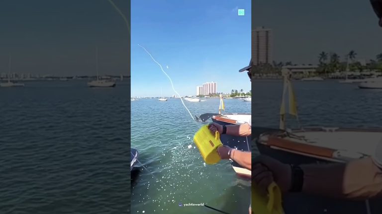 #facts #automobile #latest #science #knoweledgefacts #seafood #trending #birds #seafoodrecipes