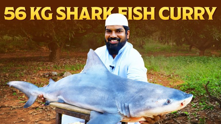 Shark Fish Burji | Spicy Shark Burji  | First time on Youtube | Traditional Taste Nawabs Kitchen