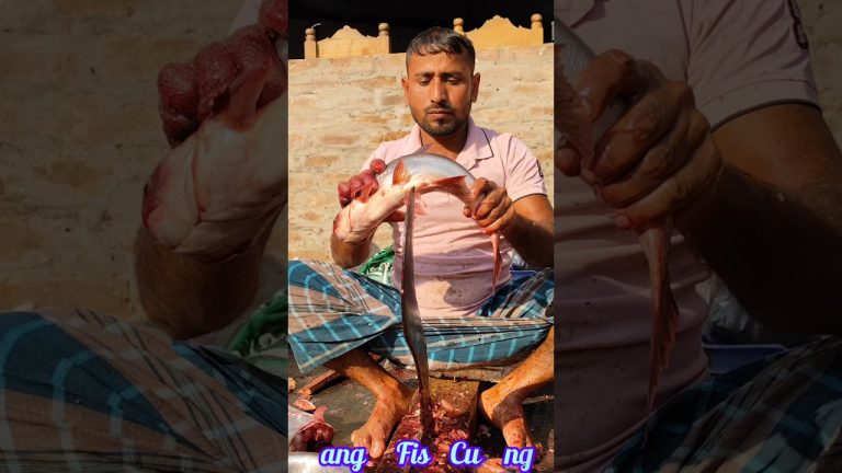 “Expert Pangas Fish Cutting Techniques | ASMR | Fresh Fish Market” #asmr #seafood #fishfilleting