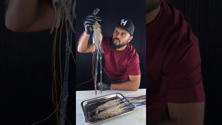 Cooking Big Prawn Curry 🇧🇩