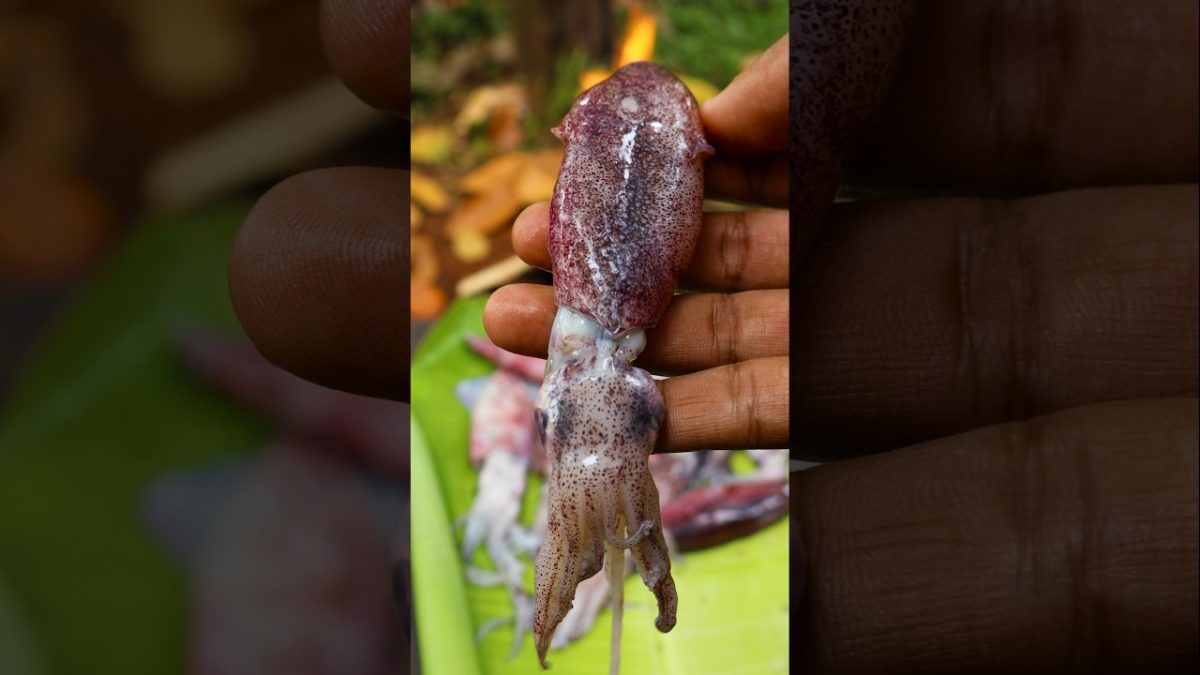 Stuffed Squid | Calamari #shortsfeed