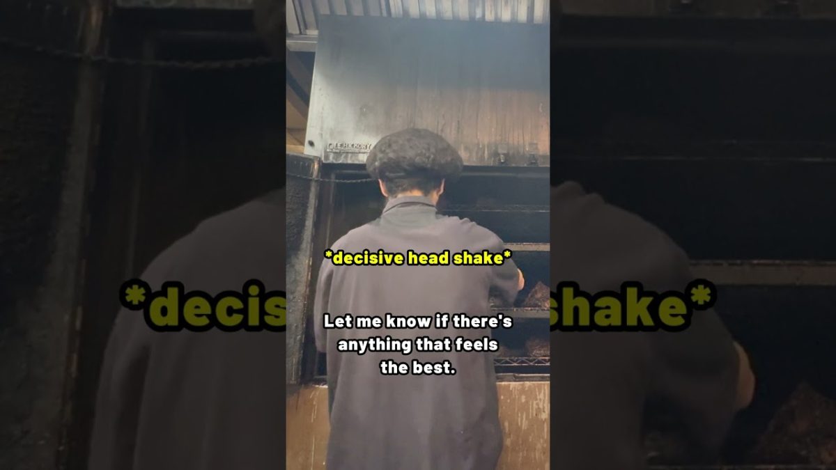 This how I brainwash people who cook bbq! – blueprint in the description