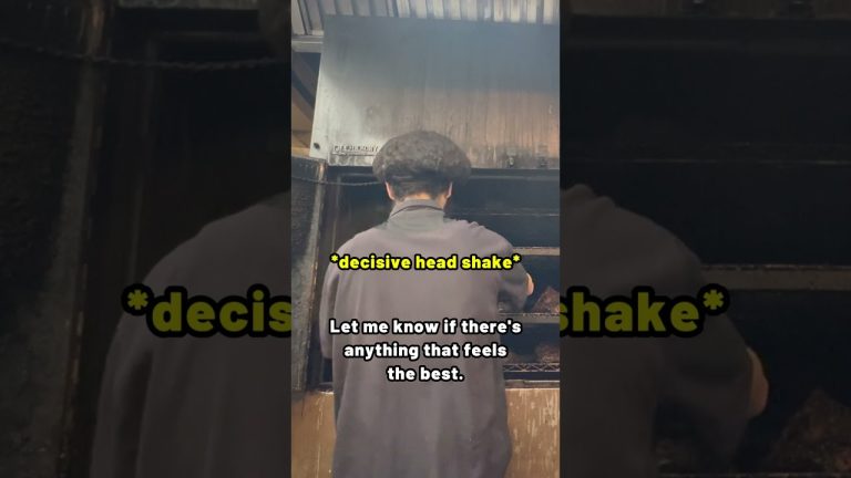 This how I brainwash people who cook bbq! – blueprint in the description