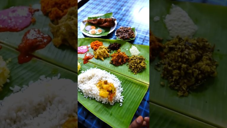 അടിപൊളി ബീഫ് റോസ്റ്റും വരാൽ ഫ്രൈയും കൂട്ടി നാടൻ ഊണ്! Chengannur Seafood Meals #wheretoeat