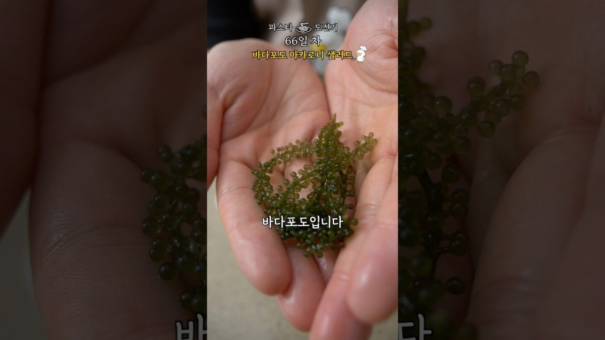 이걸 파스타에 넣어봤슴다 [파스타 66일 차]