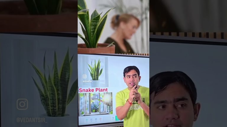 #fishing #fillet #seafood #sunfish #seafoodrecipes #fish #vlog #seafoods #aquariumfishmarket #fishfi