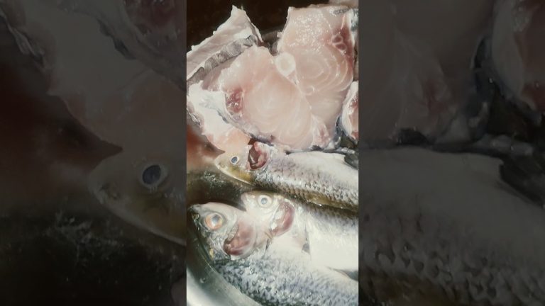 Kitni Type Ki Fish hai #dipvirmaakirasoi #youtubeshorts #food #shorts #recipe #reels #youtube #food