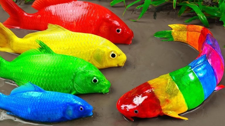 Best Of Small Fish Recipe | MINIATURE Fish Cooking Made EASY with Simple Recipe