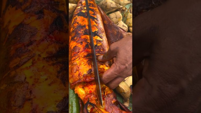 Grilling a gigantic squid for lunch | outdoor squid party for seafood enthusiasts 🐙